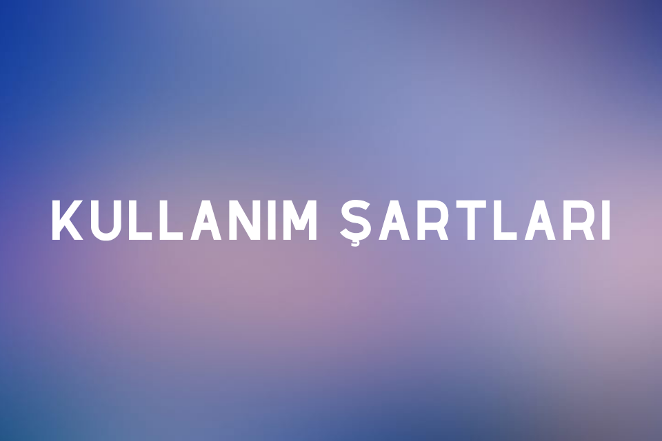 Kullanım Şartları